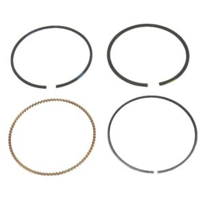 Kit segmenti d68.4 x 1.2 t00126