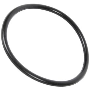 O-ring 2093