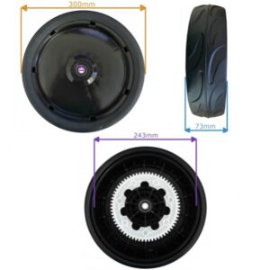 Ruota de290x73 di12 c/cuscinetti+ingranaggio
