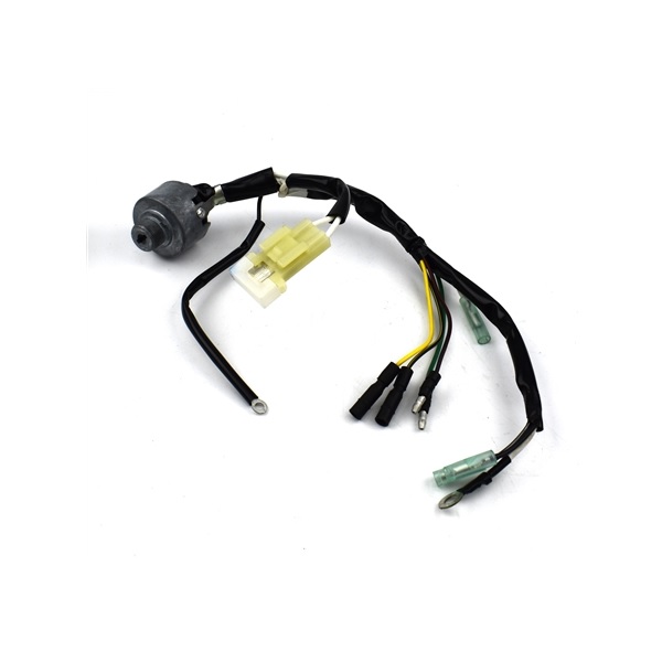 Quadro avviamento honda