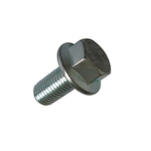 Vite te m10x1.25 h20 fla