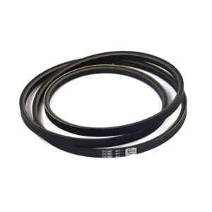Cinghia a081.5 xdv48-835
