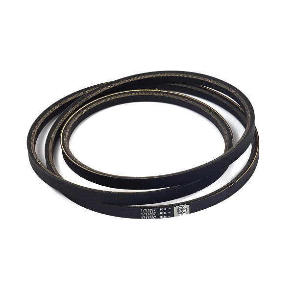 Cinghia a081.5 xdv48-835