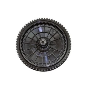 Ruota de300x55 di12x48 rigata traz. posteriore