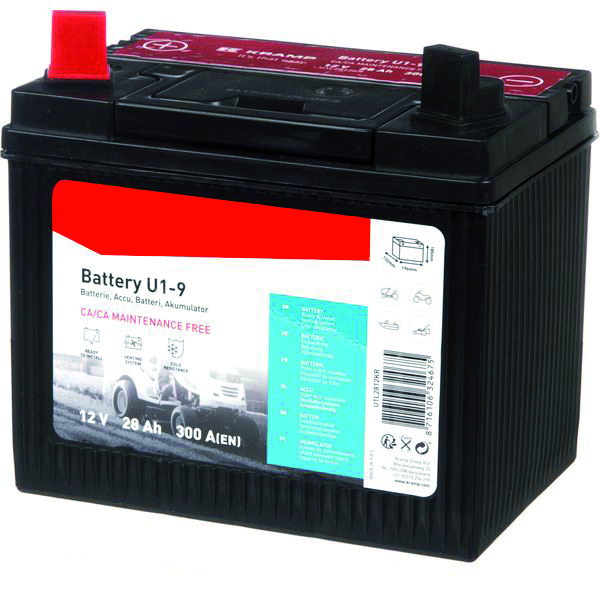 Batteria 12v 28ah 197-131-180 + -