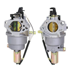 Carburatore d -- - - vaschetta mtd