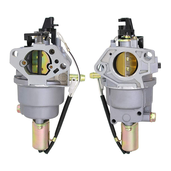 Carburatore d -- - - vaschetta mtd