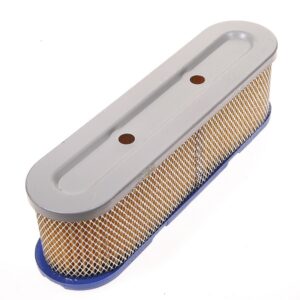 Filtro 050-203-58 ovale carta 2fori tecumseh