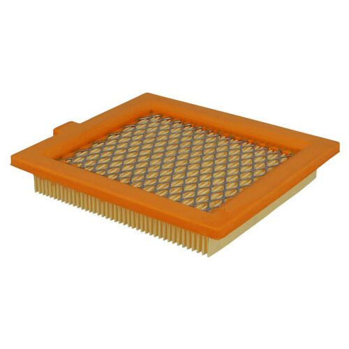 Filtro 110-123-20 quadro carta ggp