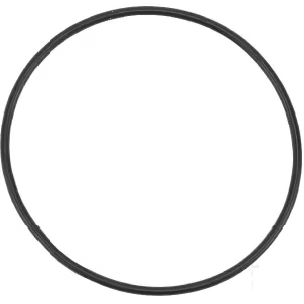 O-ring 1a s60