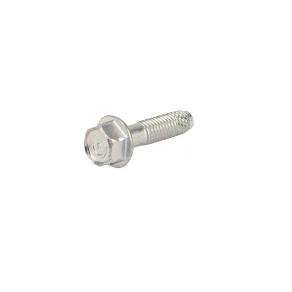 Vite m08x1.25 h30 fla